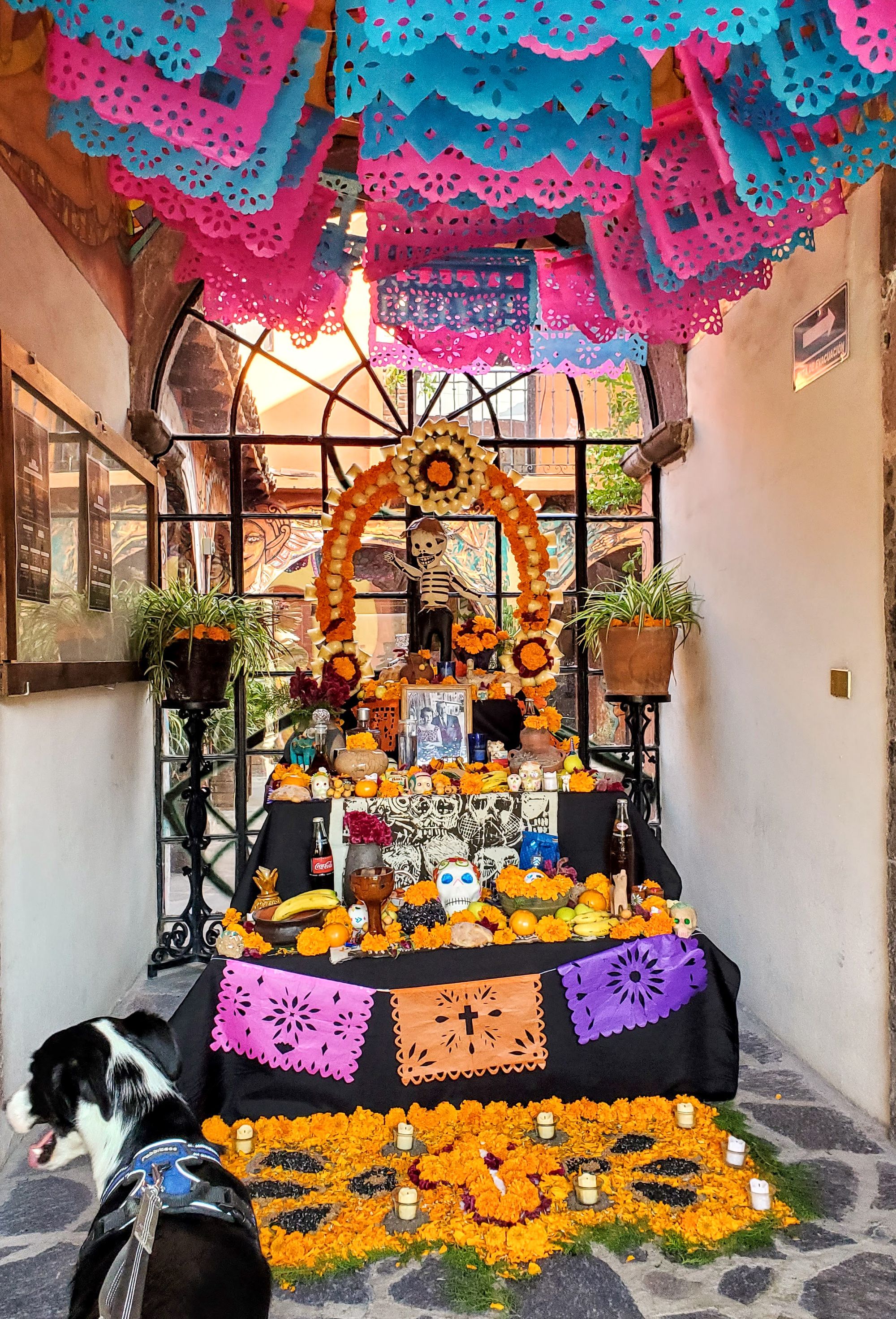 Part Two - Día de los Muertos