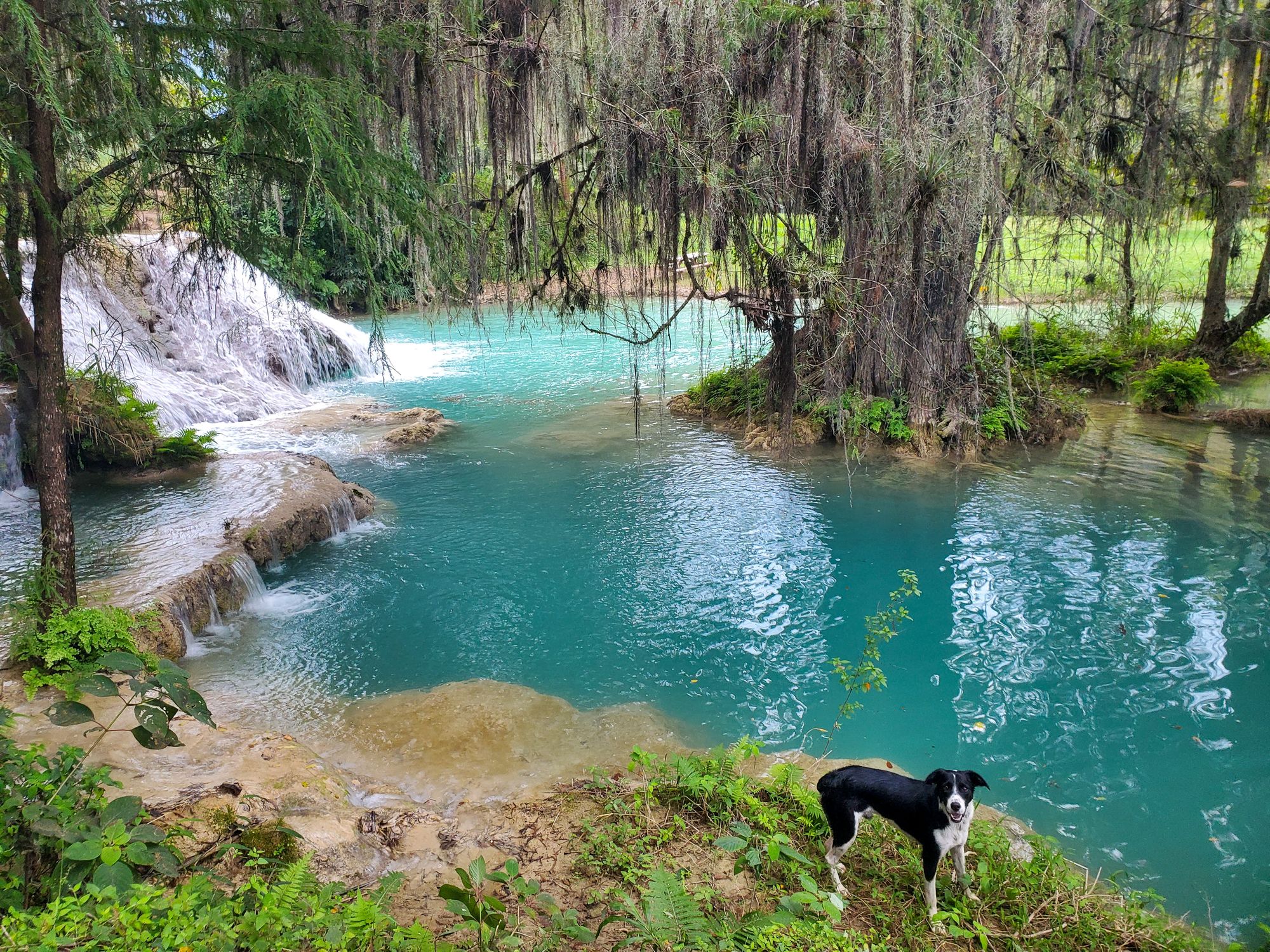 Chasing waterfalls