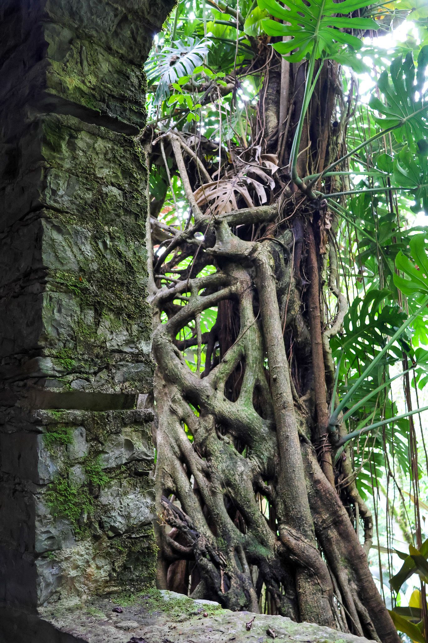 Las Pozas