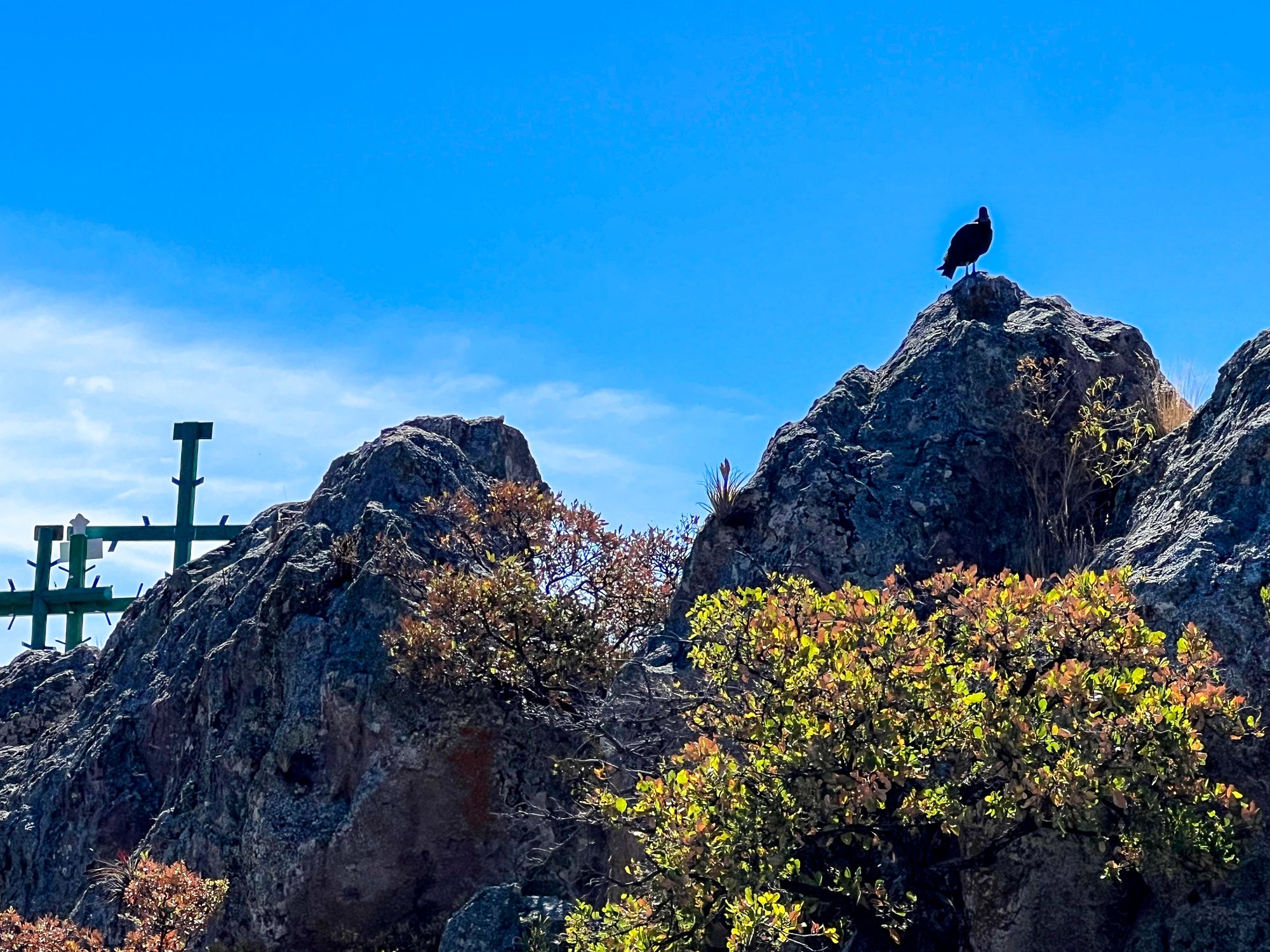 Oaxaca parte tres