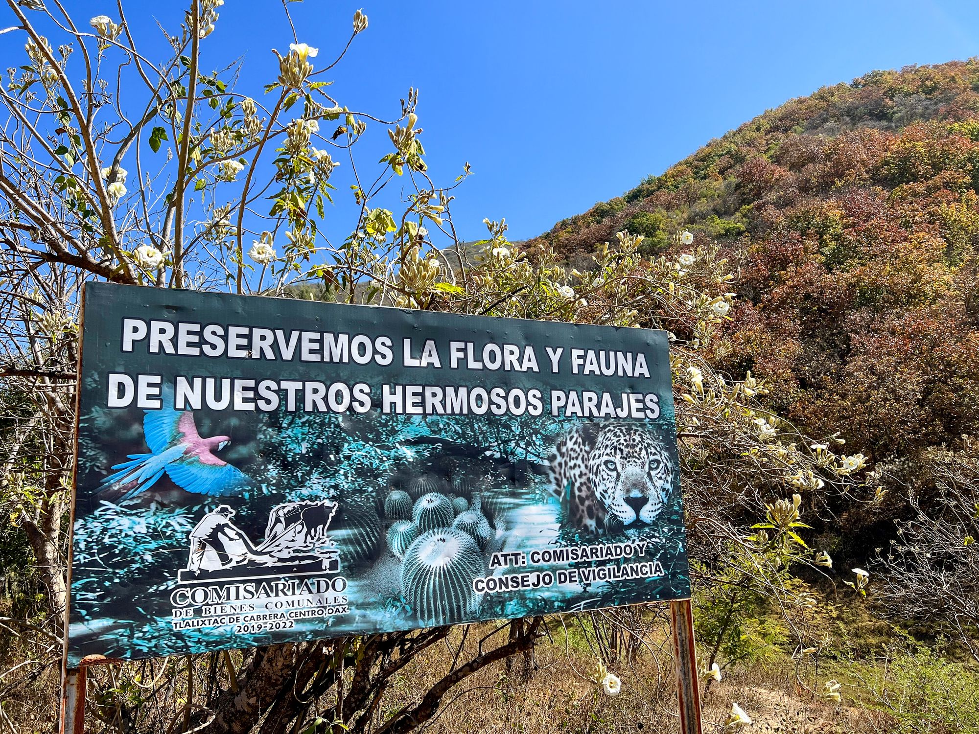 Oaxaca parte tres