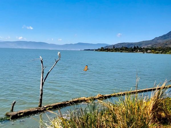 Lake Chapala and Ajijic